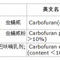 我的相册