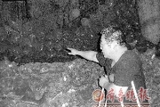 百吨被氨气污染洋葱被卖   流向不明