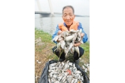 西安灞河10万鱼苗死亡疑因污水流入(图文)