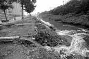 臭河再添排污管   居民忧污染加剧