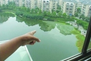 南京百家湖遭牛奶厂排污污染