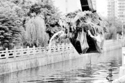 福州内河成“墨水河”：数十排污口仍排污