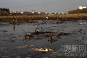中国主要城市地下水普遍测出有毒污染指标