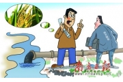 我国10%耕地遭重金属污染  东北黑土地或将消失