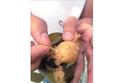 北京美廉美散装粽子现肉虫 店方拒透露厂商(图)