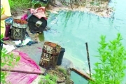 地沟油喂出“垃圾鱼”  相关部门称管不了（图）