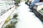 浙江绍兴河水受采石场污染变身“牛奶河”