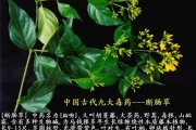 广东发生两起误食断肠草事件9人中毒4人死亡