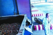 京城千余吨废旧电池“沉睡”填埋场