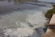浙江武义江遭日化企业偷排污水 环保部立案查处