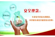 如何深入推进安全文化建设？