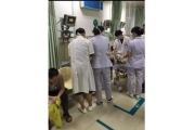 浙江温州一电镀园区约5吨漂白水泄漏：系塑料桶老化