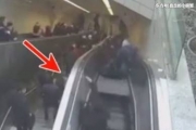 广东又发现“吃人”事件 生命瞬间消亡