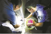 浙江宁波上半年开出3778万元环保罚单