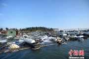 福建泉港碳九泄露渔民损失百万 专家:有毒但非剧毒